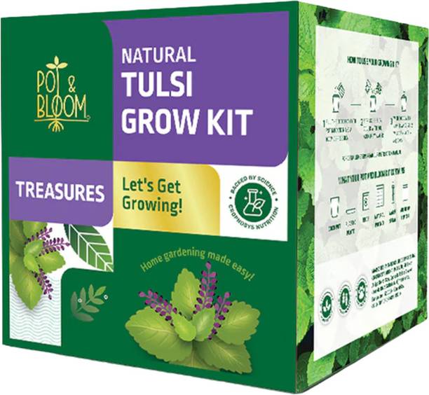 Pot and Bloom Treasures Tulsi Kit Perfect for Home Garden, Includes - Seeds, Cocopeat Pot Plant Container Set