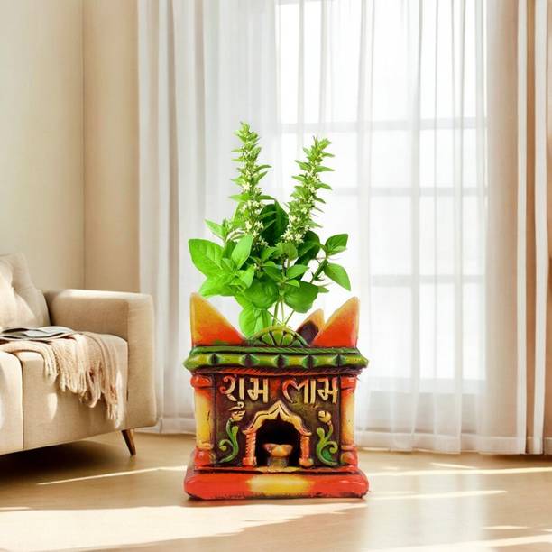 Turtulsgroup Red Tulsi/Planter Pot Big Size 20x15 Inch Home||Office||Garden||Outdoor Plant Container Set