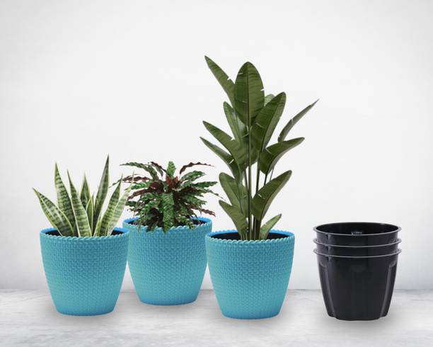 DOAP Indoor Flower Pots , 8 Inch Medium Size, Selfwatering Plant Pots, 3pcs Blue Plant Container Set