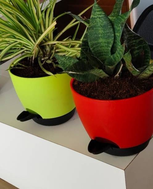 NORVIUM Pack 5 Self Watering Pots for Home & Decoration Planters Plant 6*6.7 Inch Plant Container Set
