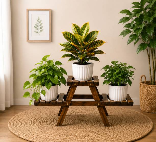 aisha traders Wooden Multi-Layer Vase Display Table Plant Container Set