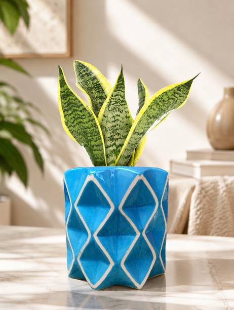 Gupta Homes Blue Diamond Ceramic Planter Pot with Diamond Pattern, Blue Plant Container Set