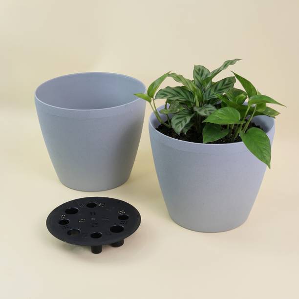 TERRAVAY Self Watering Plant Pots 9 Inch (Blue)| Indoor Outdoor Planters for Home Decor| Plant Container Set