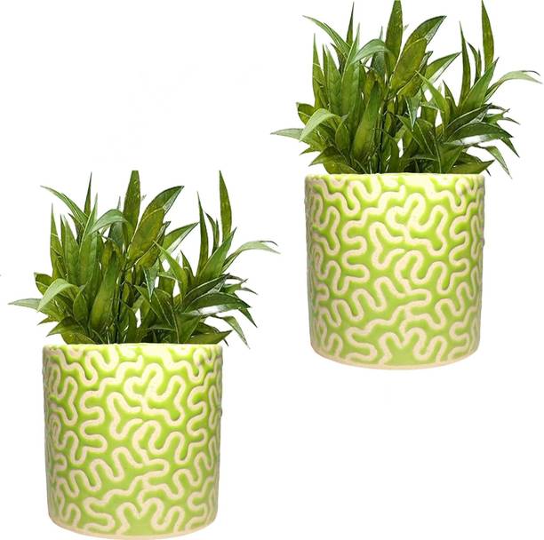 Gupta Homes Green RD-1 Pipe Ceramic Pot Size 4x4inch GH0022-08 Plant Container Set