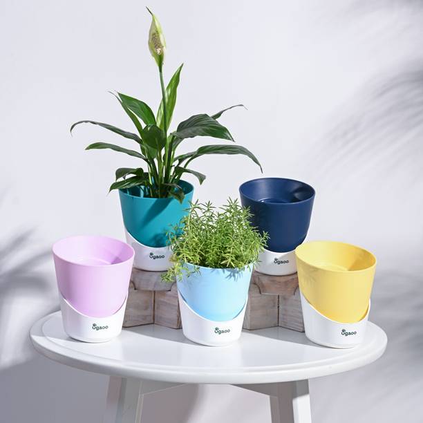 UGAOO Atlantis Self Watering Multicolour Planter - 4 Inch (Set of 5) Plant Container Set
