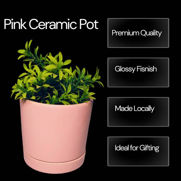 Brills Beautiful Tube Shape- Pink Pot for Indoor/Outdoor/Balcony/Garden - Plant Container Set