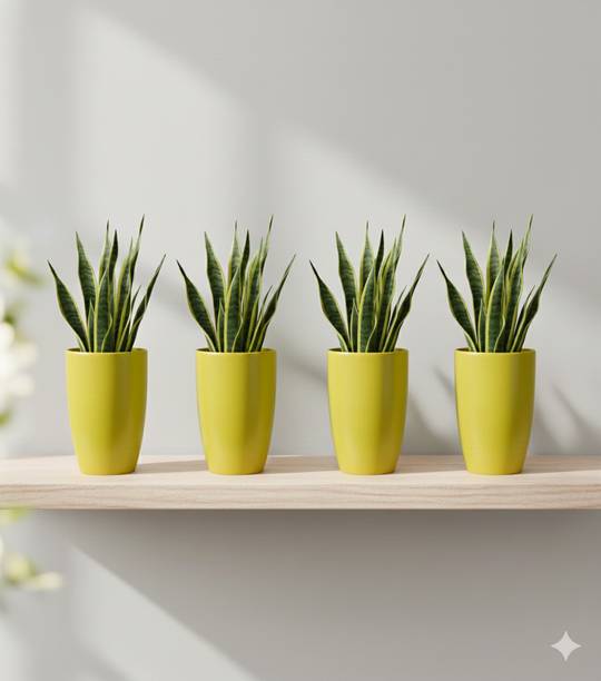 TerraLeaf Tower Pot 8 Inch-YELLOW, Pack of 4 | Pots for Plant Indoor & Outdoor Plants Plant Container Set