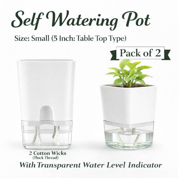 GratisLeafora Plant Container Set