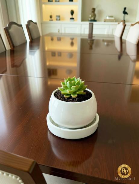 ROSARY POTTERY Premium Ceramic Planter | Indoor & Outdoor | Drainage Hole | Plant Container Set