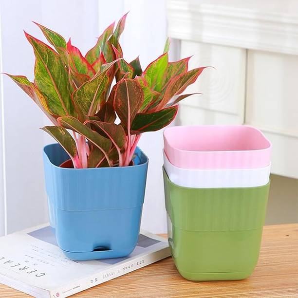 Pliable 6-Inch modern self- watering Plastic Plant Pots Plant Container Set