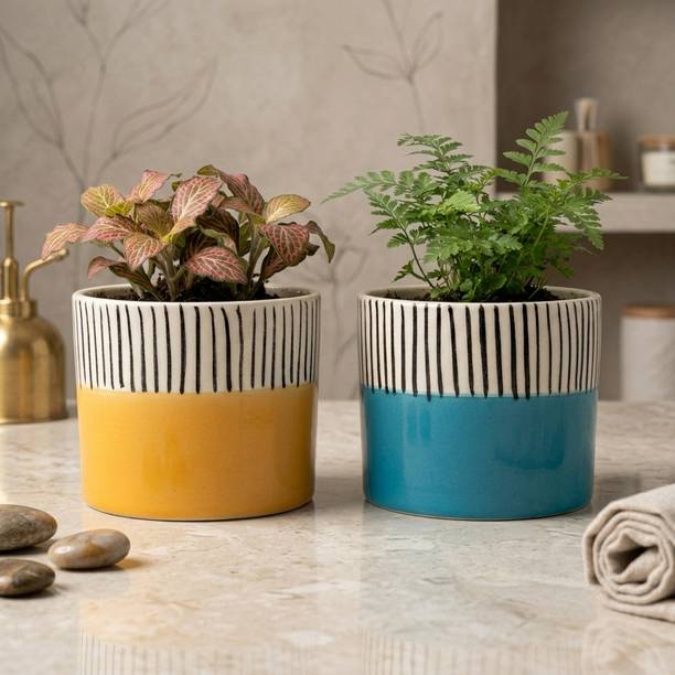 Thekanikadecor Modern Two-Tone Striped Ceramic Tabletop Planter Set. Plant Container Set