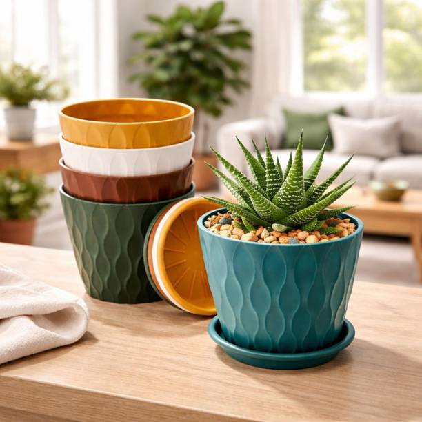 cassava Indoor Decorative Planter for Succulents & Plants Plant Container Set