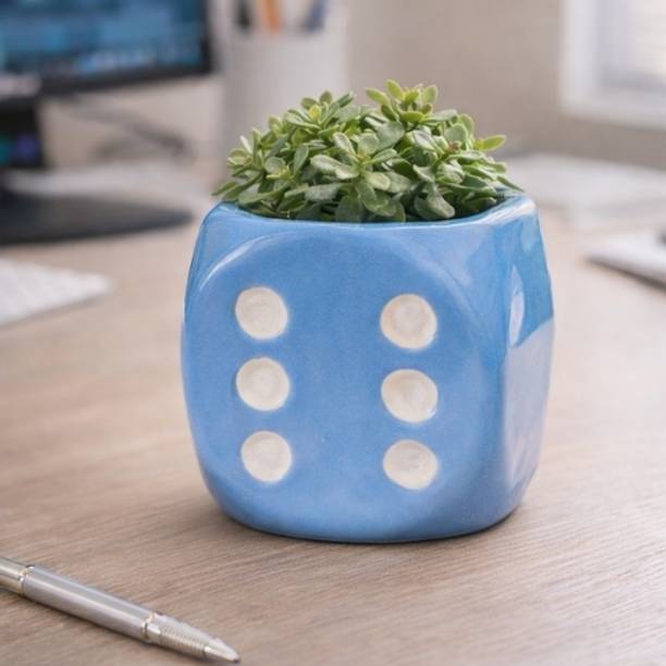 The Cozy Edit Purple Dice Ceramic Planter – Designer Cube Décor for Modern Spaces(set of 1) Plant Container Set