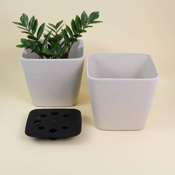 TERRAVAY Set of 2 Square Self Watering Plant Pots 9Inch (White)| Pots for Home Decor| Plant Container Set