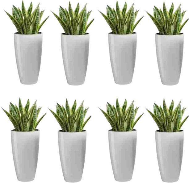 Muddstyles Plastic Tower Pot 8.5 inch Flower Pot for Home office Garden Balcony Plant Container Set