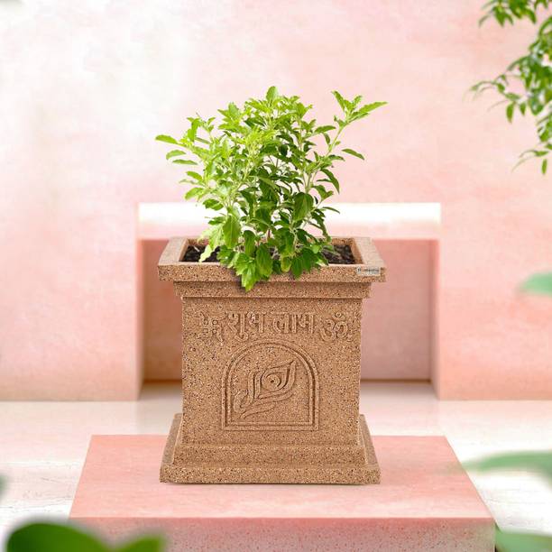 HOMESTIC by Kuber Industries 12 Inch Plastic Tulsi Mancha Gamla/Planter Pot Marble Design-Beige Plant Container Set