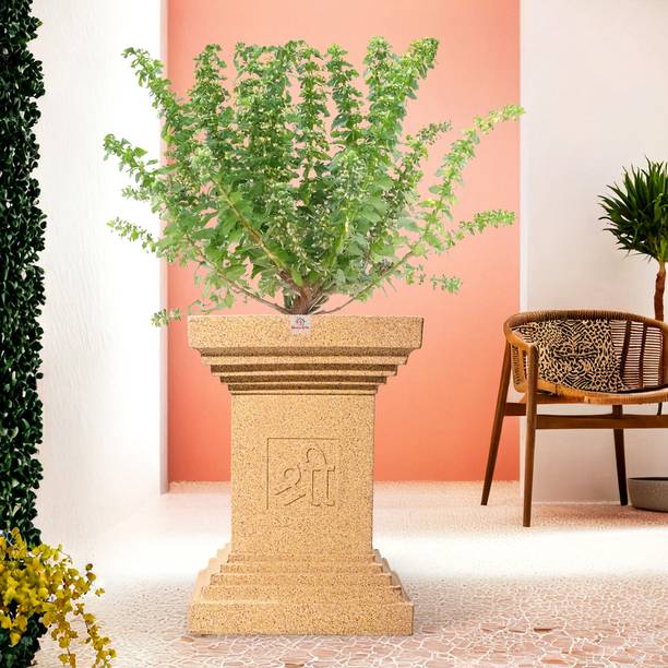 Heart Home 22-Inch Roto Mould Extra Large Big Size Tulsi Flower Pot | Marble Tulsi - Sand Plant Container Set