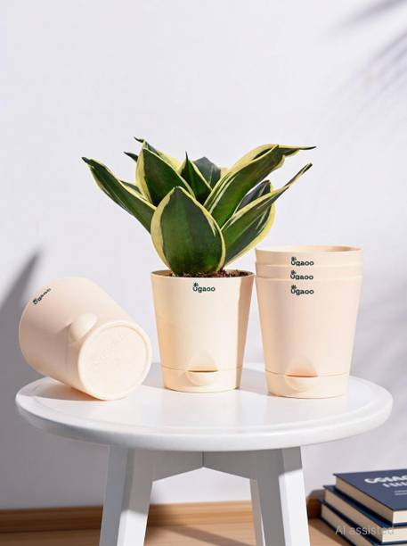 UGAOO Krish Self Watering Pots & Planter - (Ivory) Set of 5 Plant Container Set