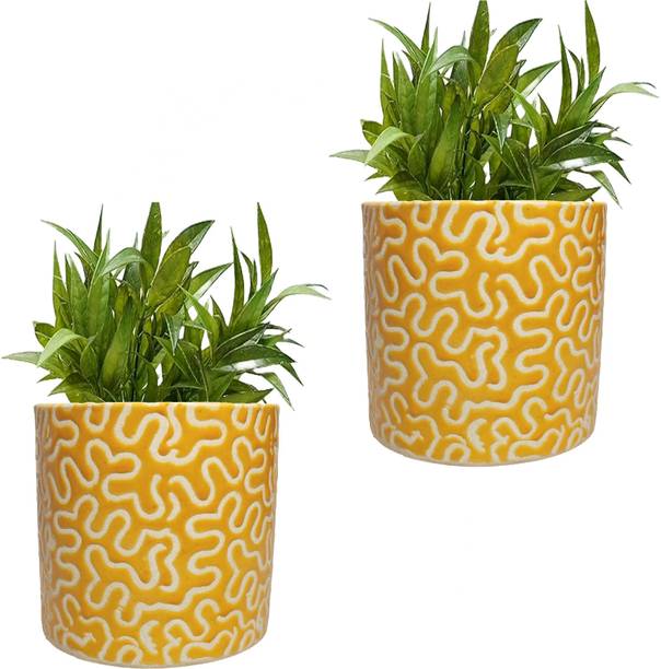 Gupta Homes Yellow RD-1 Pipe Ceramic Pot Size 4x4inch GH0022-09 Plant Container Set