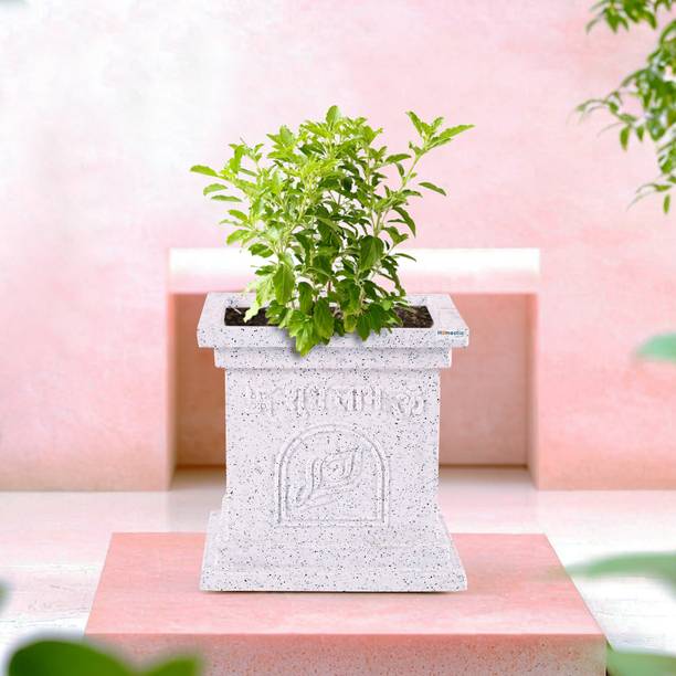 HOMESTIC by Kuber Industries 12 Inch Plastic Tulsi Mancha Gamla/Planter Pot | Marble Design-White Plant Container Set