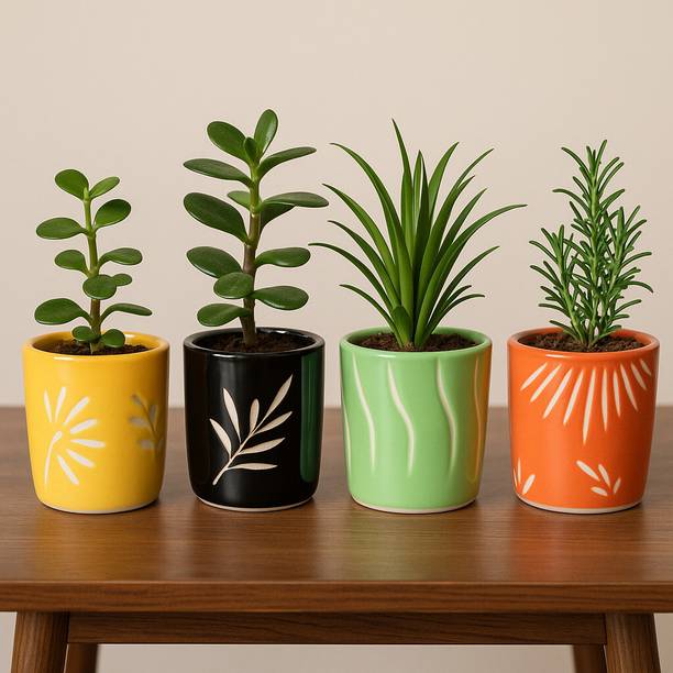 Turtulsgroup Ceramic Planters – Handcrafted Pots with Drainage Hole for Indoor & Outdoor Plant Container Set