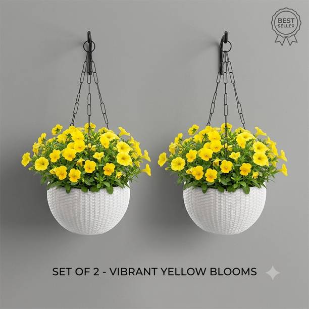 VELOFAST Heavy-Duty Hanging Plant Pot With Metal Chain White 2 Chain Pot 112 Plant Container Set