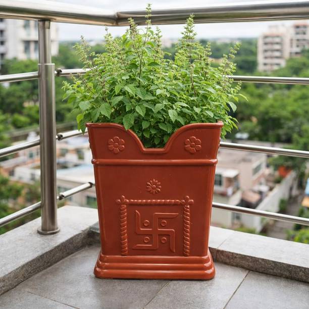 Handybee Premium Brown Color Tulsi Pot & Planter With Free Tulsi Seeds for Tulsi Plant Plant Container Set