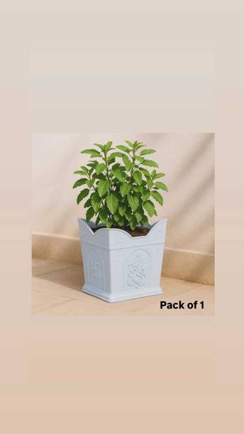PLANTRAA TULSI POT Plant Container Set