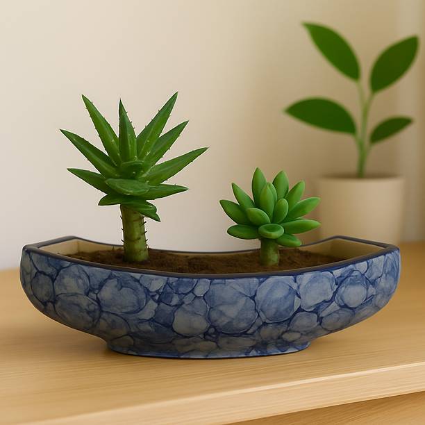 SAJAAO SAJAAO Boat Shaped Blue Bubble Oval Ceramic Pot Planter Indoor Plant Container Set