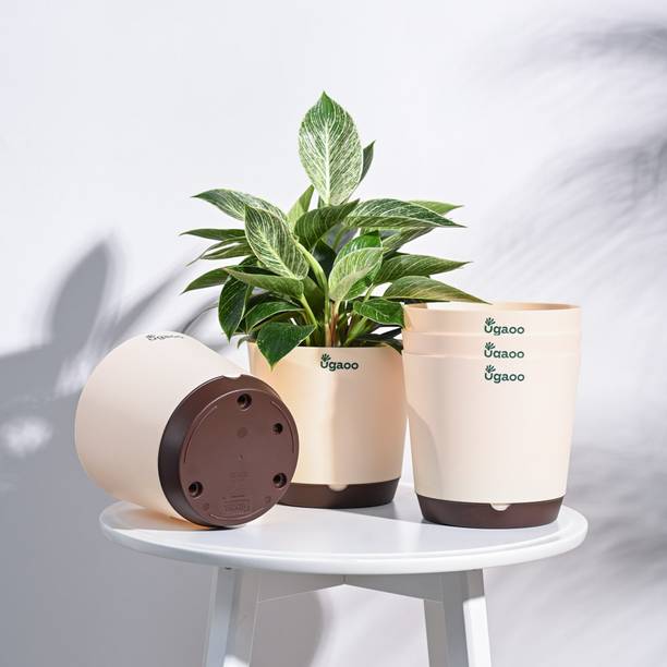 UGAOO Krish Ivory Self Watering Pot - 7.5 Inch, Round, Set of 5 Plant Container Set