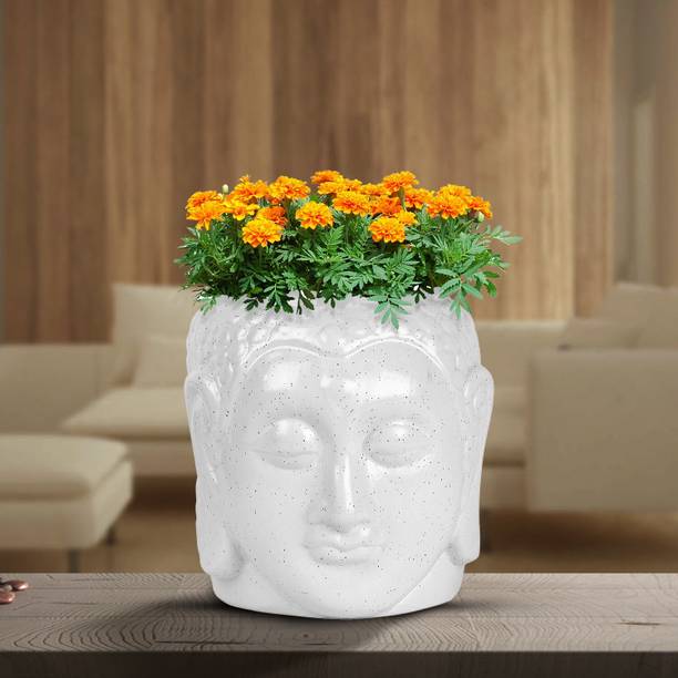 Justoriginals Justoriginals Medium Buddha Shape Ceramic Flower Pot (Color: White) Plant Container Set