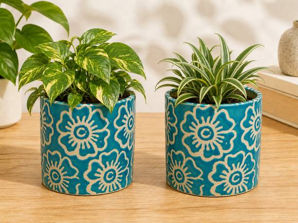 Gupta Homes Light Blue RD Flower Ceramic Plant Pot Size 4x4inch GH0031-4_Packof2 Plant Container Set
