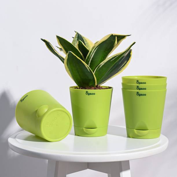 UGAOO Self Watering Pots Planter for Plants - Set of 5 Plant Container Set