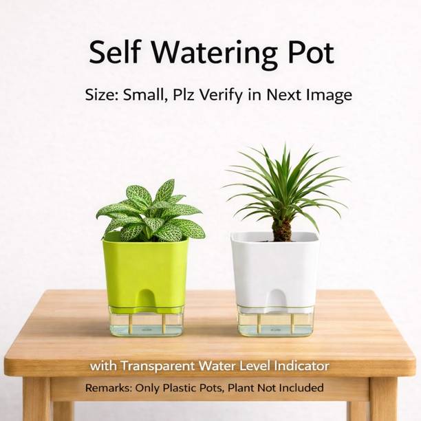 GratisLeafora Latest Designed Self Watering Pot with Transparent Water level indicator Plant Container Set