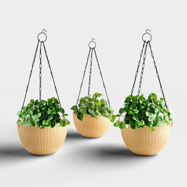 Yuccabe Italia SHERA Rattan Hanging Flower Pots | 8.5 Inch Planters for Balcony & Home Décor Plant Container Set