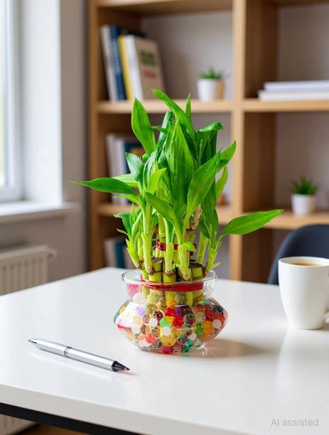 Real Nature Two Layer Bamboo Plant