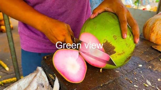 Green view Coconut Plant