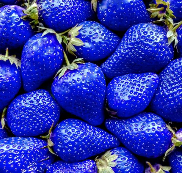 ABC Strawberry Plant