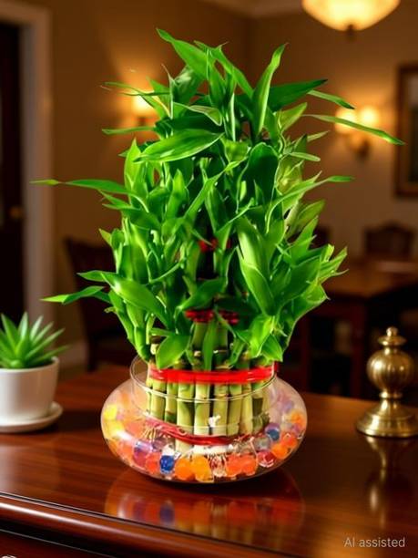 Real Nature Three Layer Bamboo Plant