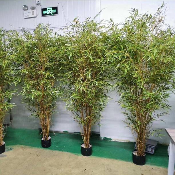 Cloud Farm Two Layer Bamboo Plant