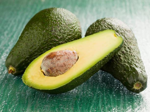 Cloud Farm Avocado Plant