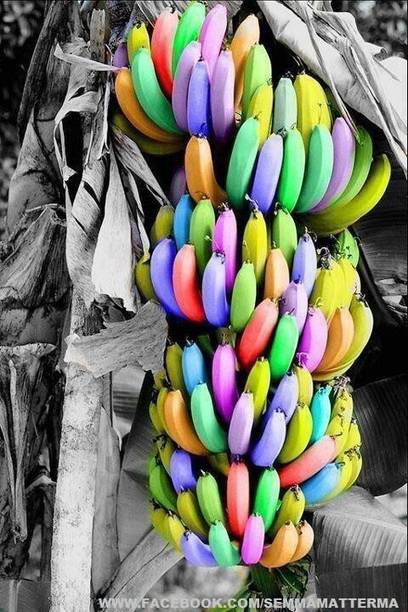 Cloud Farm Banana Plant