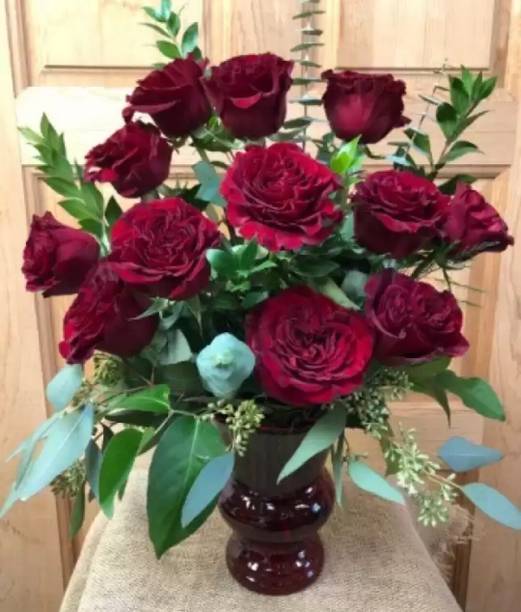 GreenGrowth Rose Plant
