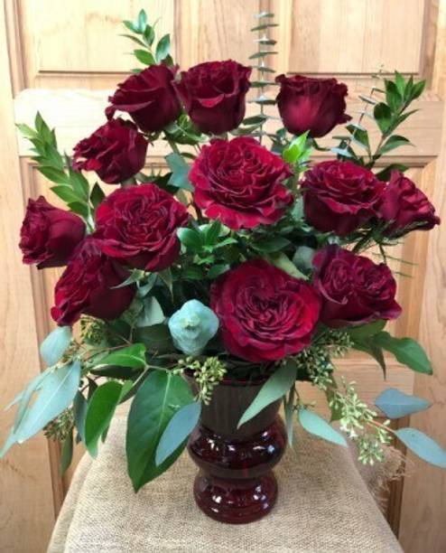 SKDIYA Rose Plant