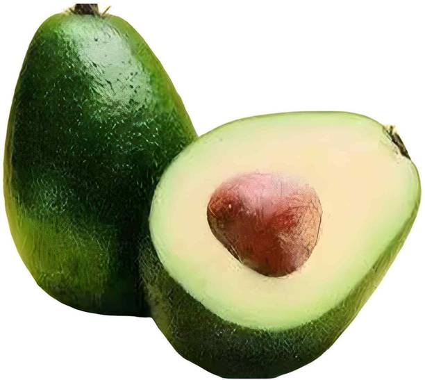 sspykrts Avocado Plant