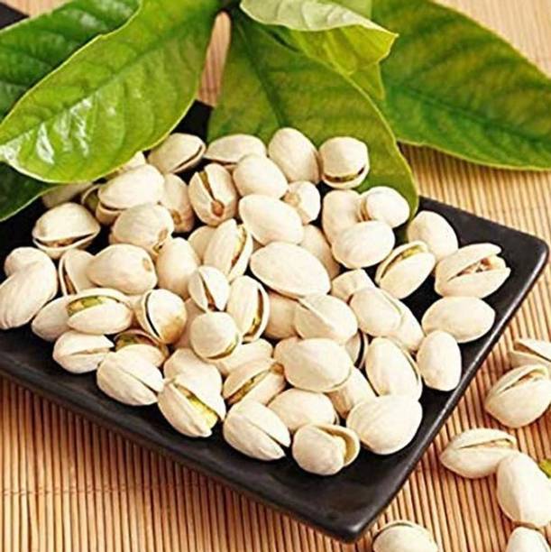 Aquinnah Pistachio Plant