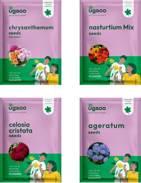 UGAOO Flower Seeds - Chrysanthemum Mix Seeds, Antirrhinum, Gallardia Seeds, Alyssum Seed