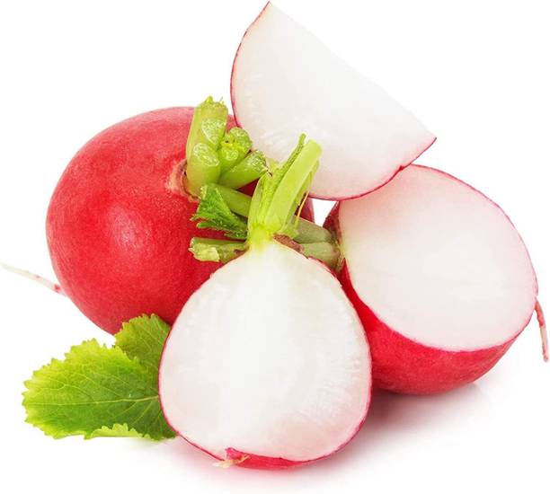 VibeX LXI-39 - Cherry Belle Radish - (250 Seeds) Seed