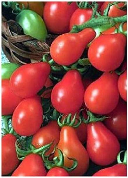 WILLVINE Tomato"Red Pear" (Lycopersicon esculentum)-[300 Seeds] Seed