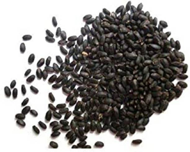 Organicgreen Herb TULSI BEEJ TULSI SEED Seed